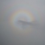 雲に映った飛行機の影とその周りの虹のようなリング。