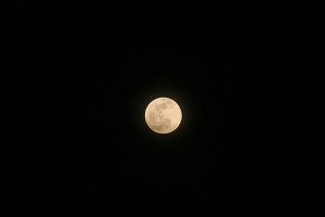 1/3ほどが地球の半影に入った満月。部分食は始まっていないので丸く見える。