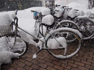 放置自転車の上にも雪がたっぷり積もっている。
