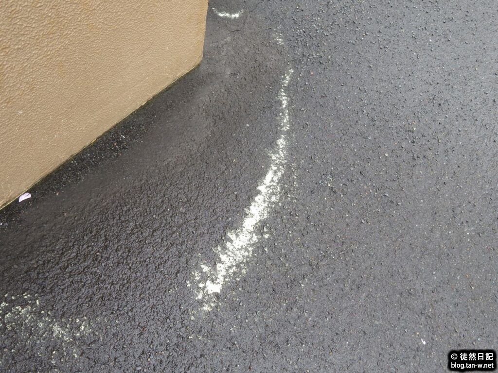 水溜り周囲の黄色い粉