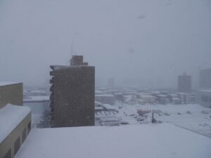 2026/01/25の雪