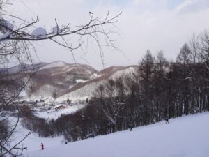 スラロームバーンの上からセンターロッジ方向を見下ろしたところ。